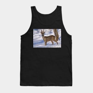 Roe deer in the forest Tank Top